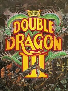 Cover of Double Dragon III: The Sacred Stones