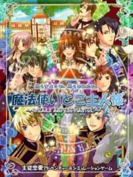 Cover of Shinsouban Mahoutsukai to Goshujin-sama: Wizard and The Master