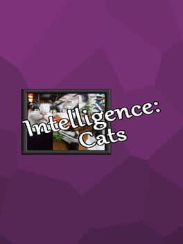 Cover of Intelligence: Cats