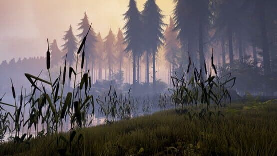 Screenshot of Bigfoot