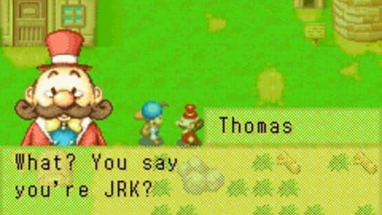 Screenshot of Harvest Moon: Friends of Mineral Town