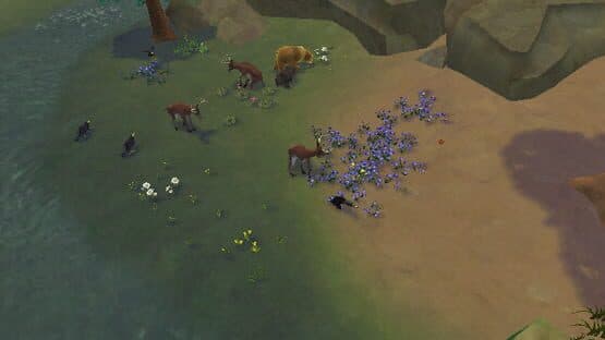 Screenshot of SimAnimals