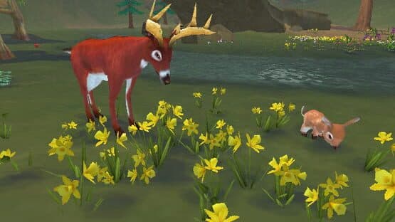 Screenshot of SimAnimals