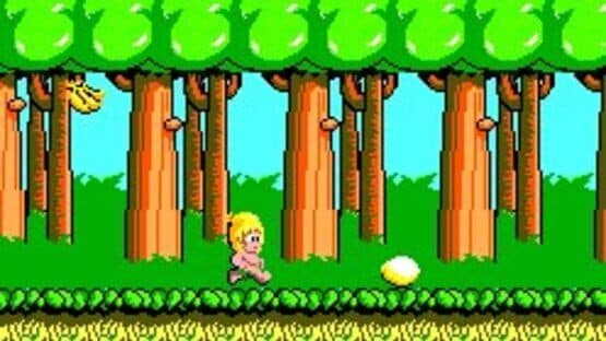 Screenshot of Wonder Boy