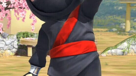 Screenshot of Clumsy Ninja