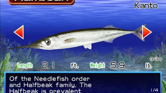 Screenshot of Fishing Master