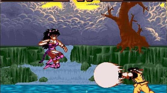 Screenshot of Shadow Fighter