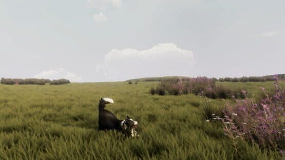 Screenshot of The Free Shepherd