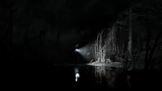 Screenshot of Silver Pines