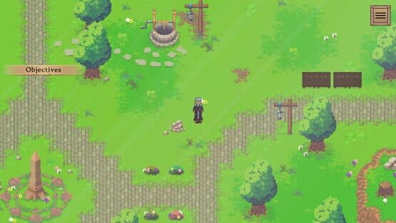 Screenshot of Last Chance: Birth