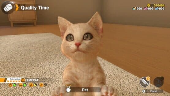 Screenshot of Little Friends: Dogs & Cats