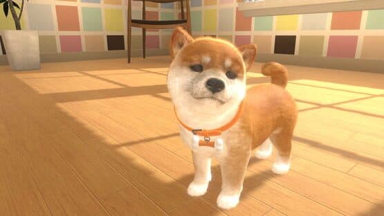 Screenshot of Little Friends: Dogs & Cats