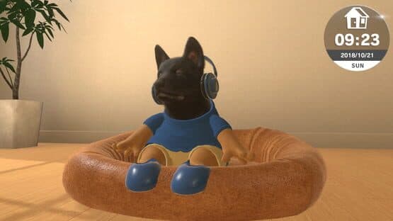 Screenshot of Little Friends: Dogs & Cats