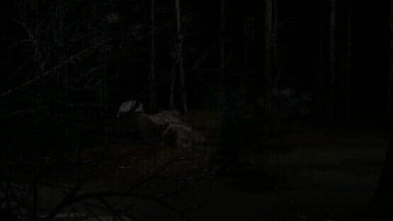 Screenshot of Blood Trail