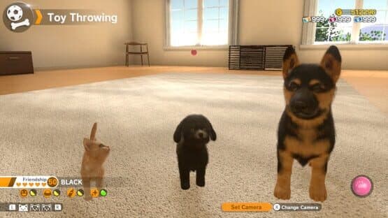 Screenshot of Little Friends: Dogs & Cats