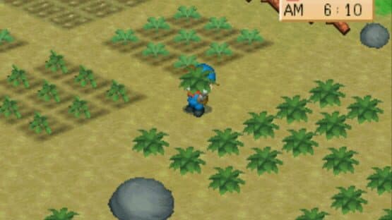 Screenshot of Harvest Moon: Back to Nature