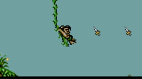 Screenshot of Tarzan: Lord of the Jungle
