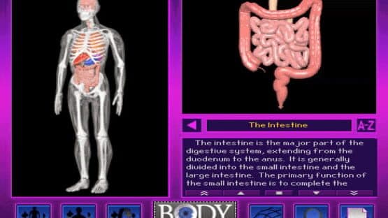 Screenshot of 3-D Body Adventure