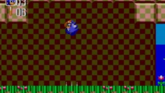 Screenshot of Sonic the Hedgehog Chaos