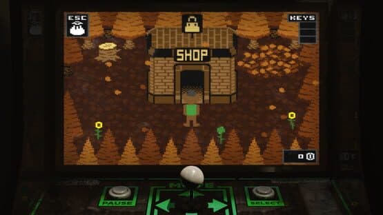 Screenshot of Popgoes Arcade