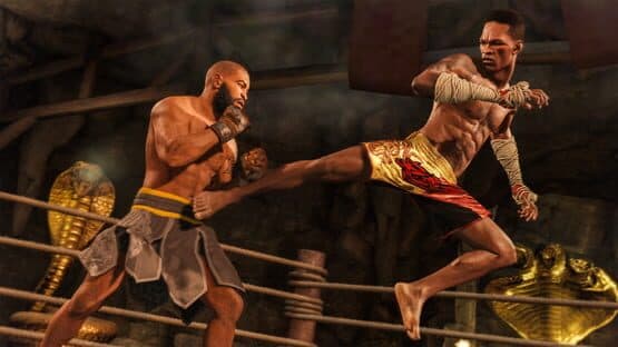 Screenshot of EA Sports UFC 4