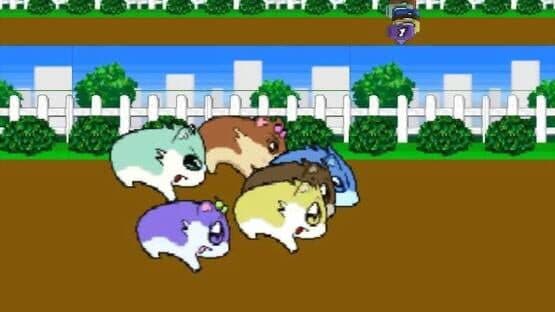 Screenshot of Hamster Monogatari 64