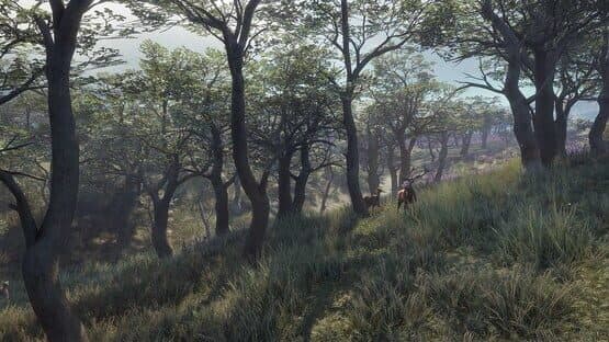 Screenshot of TheHunter: Call of the Wild - 2021 Edition