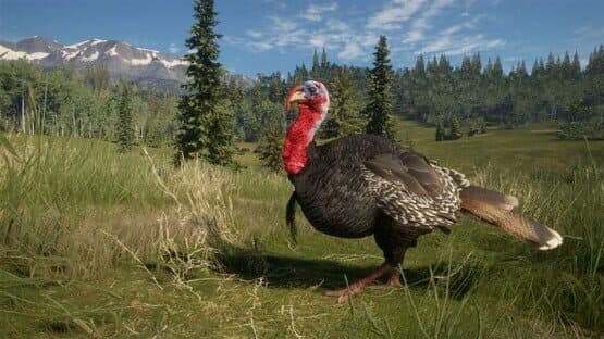 Screenshot of TheHunter: Call of the Wild - 2021 Edition