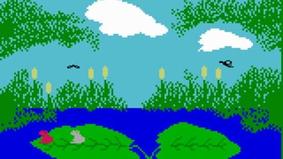 Screenshot of Frog Bog