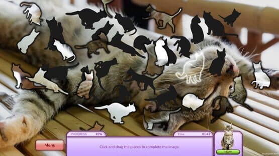 Screenshot of I Love Finding Cats