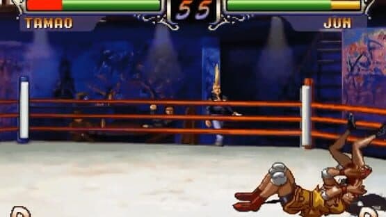 Screenshot of Advanced V.G. 2