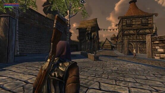 Screenshot of Ravensword: Shadowlands