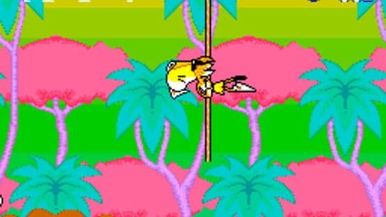Screenshot of Chester Cheetah: Too Cool to Fool