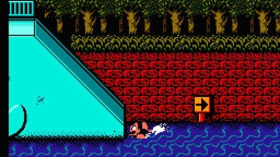 Screenshot of Downtown Nekketsu March Super-Awesome Field Day!