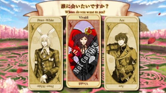 Screenshot of Joker no Kuni no Alice: Wonderful Wonder World