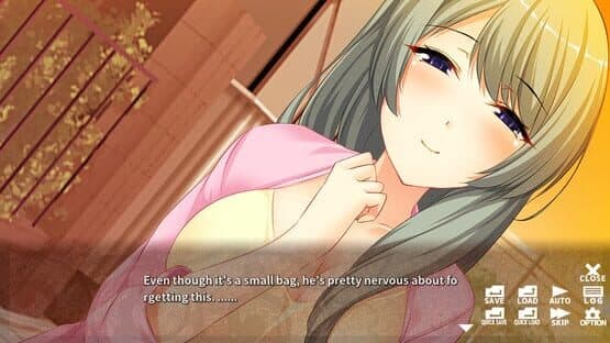 Screenshot of Elder Sister's Love Training