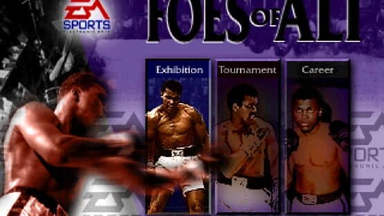 Screenshot of Foes of Ali