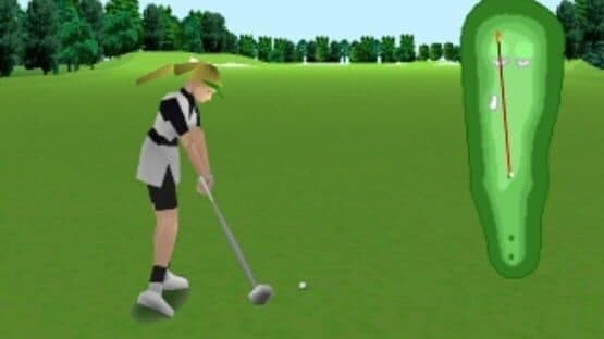 Screenshot of Nihon Pro Golf Double Eagle