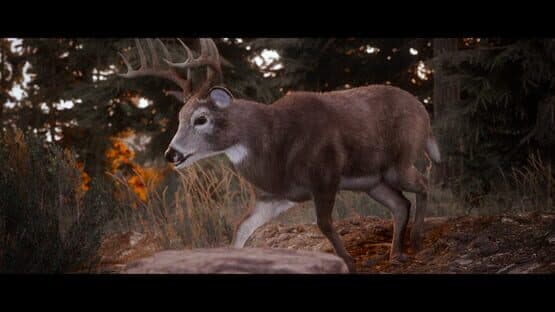 Screenshot of Hunting Simulator 3