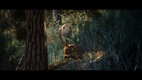 Screenshot of Hunting Simulator 3