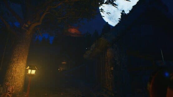 Screenshot of The Sinking Forest