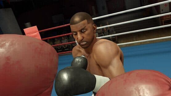 Screenshot of The Thrill of the Fight 2