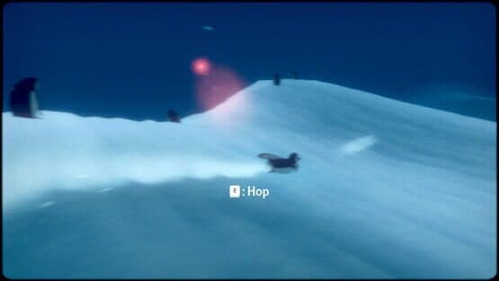 Screenshot of Penguin Colony