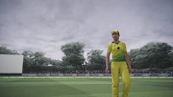 Screenshot of Ashes Cricket