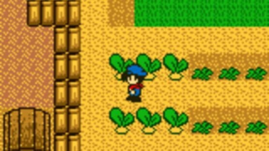 Screenshot of Harvest Moon GB