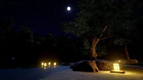 Screenshot of VRNinja