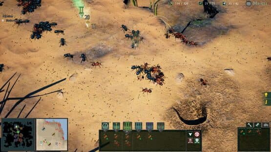 Screenshot of Empires of the Undergrowth
