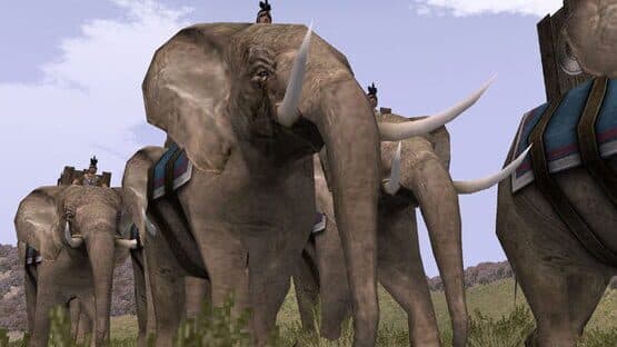 Screenshot of Rome: Total War