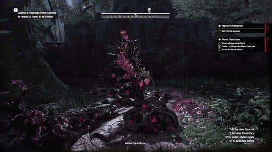Screenshot of Wilderdark