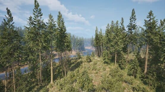 Screenshot of Online: 404